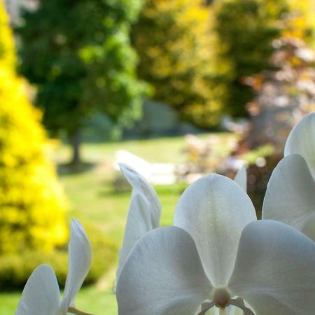 Il Giardino Segreto - Sport & Relax Villa Garessio Dış mekan fotoğraf